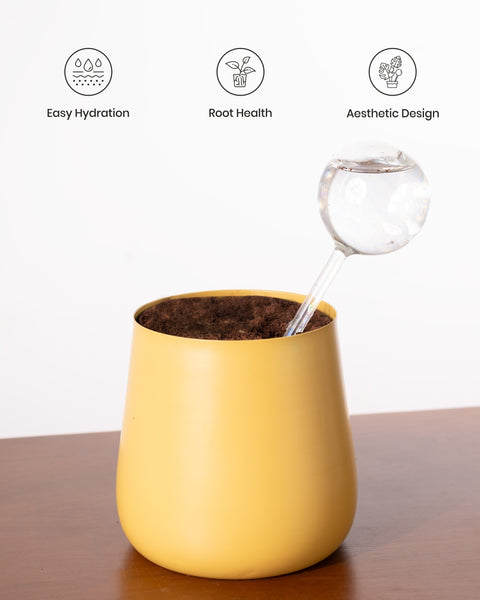 KYARI Plant Watering Globe - pack of 1