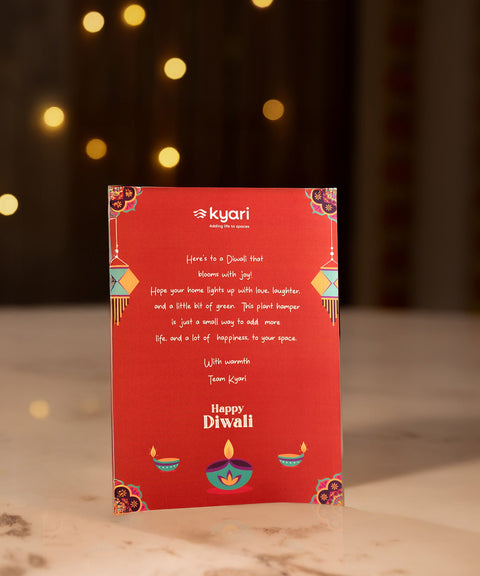 Festive Gleam Hamper