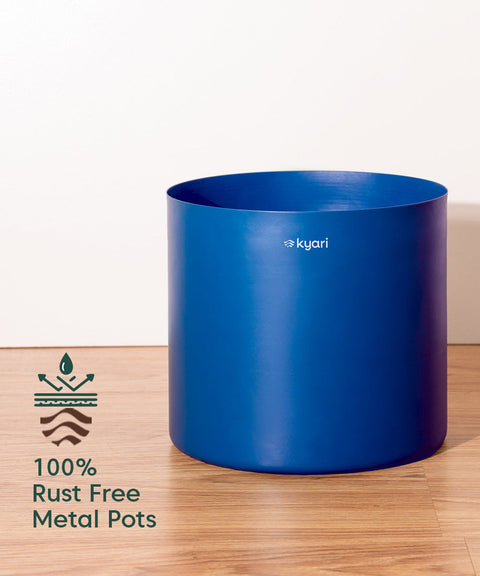 ZZ Black with Large Metal Self Watering Pot