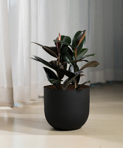 Black Rubber with Arbor Metal Planter