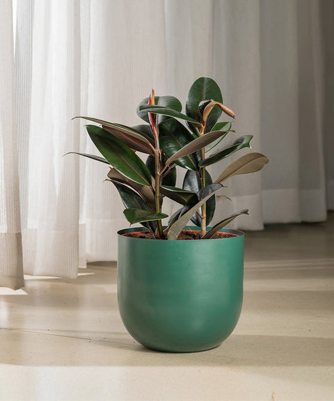 Black Rubber with Arbor Metal Planter