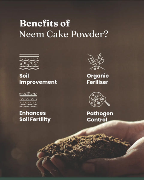 neem fertilizer for plants Neem Cake Powder