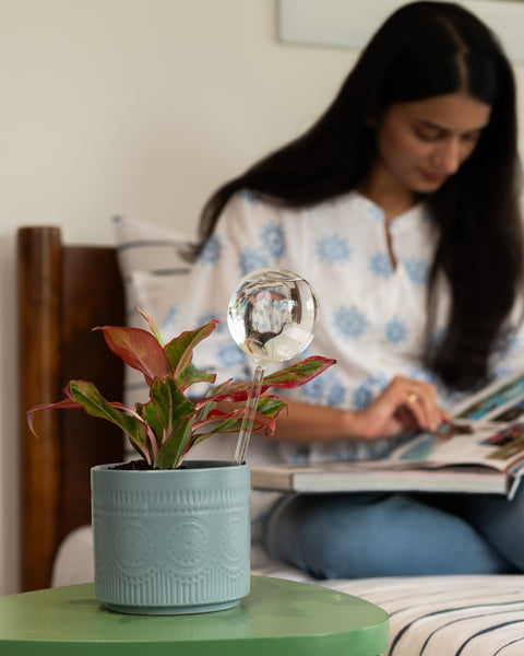KYARI Plant Watering Globe - pack of 1