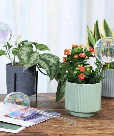 Plant Watering Globe