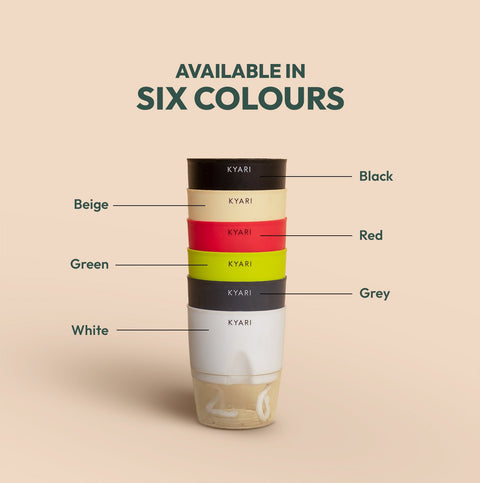 Philodendron Ceylon (Golden) Plant With Self Watering Pot Paytm Exclusive