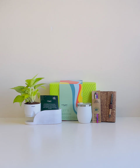 Standard Hamper