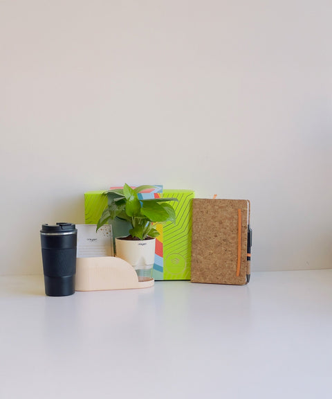 Semi-Premium Hamper