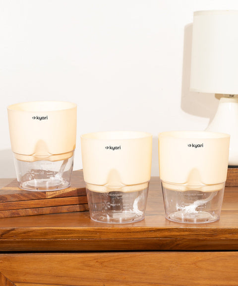 Kyari Poetic Pot Combo of 3 Cream