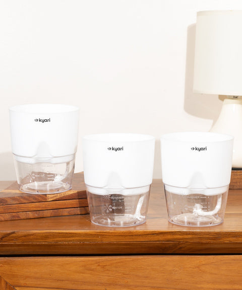 Kyari Poetic Pot Combo of 3 White