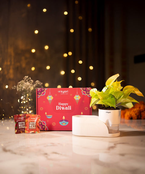 Celestial Glow Box