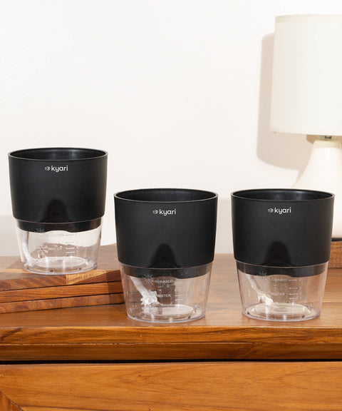 Kyari Poetic Pot Combo of 3 Black