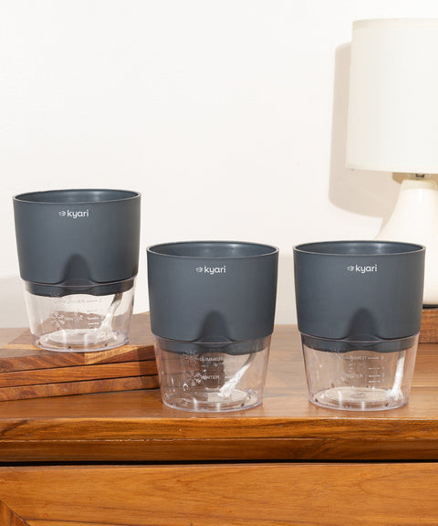Kyari Poetic Pot Combo of 3 Grey