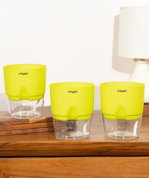 Kyari Poetic Pot Combo of 3 Green