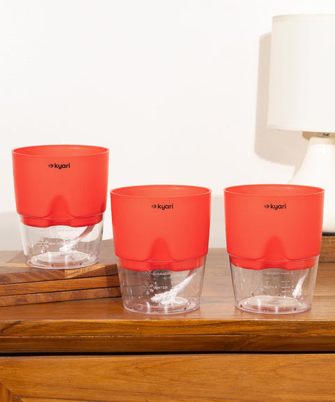 Kyari Poetic Pot Combo of 3 Red