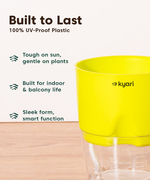 Kyari Poetic Pot Combo of 3 Green