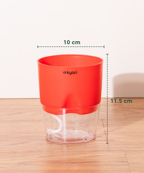 Kyari Poetic Pot Combo of 3 Red