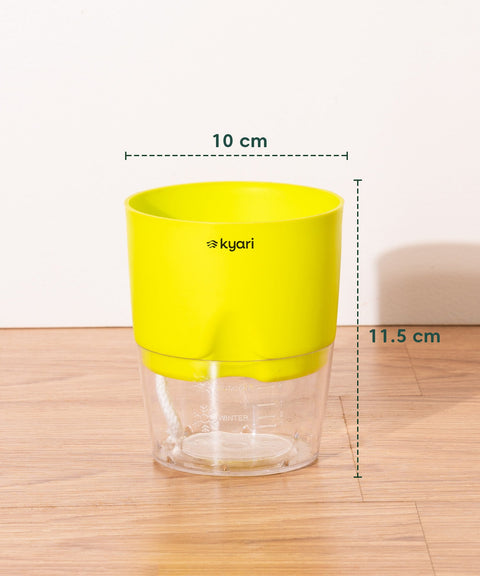 Kyari Poetic Pot Combo of 3 Green