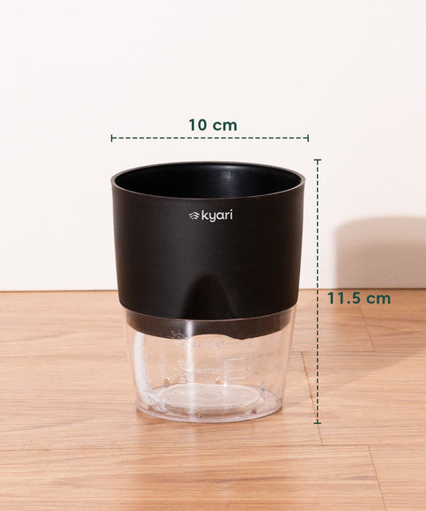 Kyari Poetic Pot Combo of 3 Black