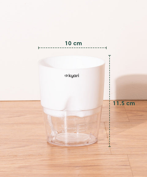 Kyari Poetic Pot Combo of 3 White