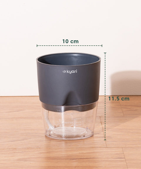 Kyari Poetic Pot Combo of 3 Grey