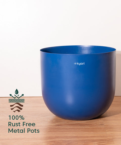 ZZ Green with Extra Large Self Watering Pot