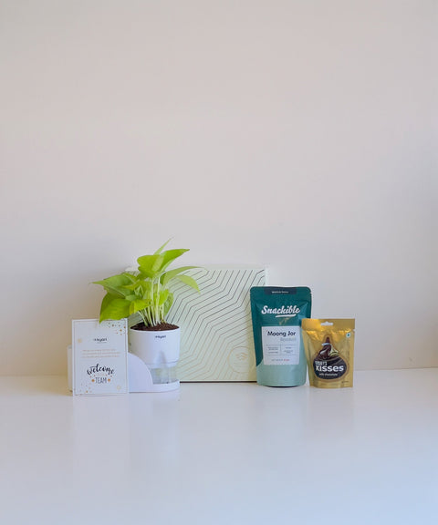 Classic welcome kit Hamper