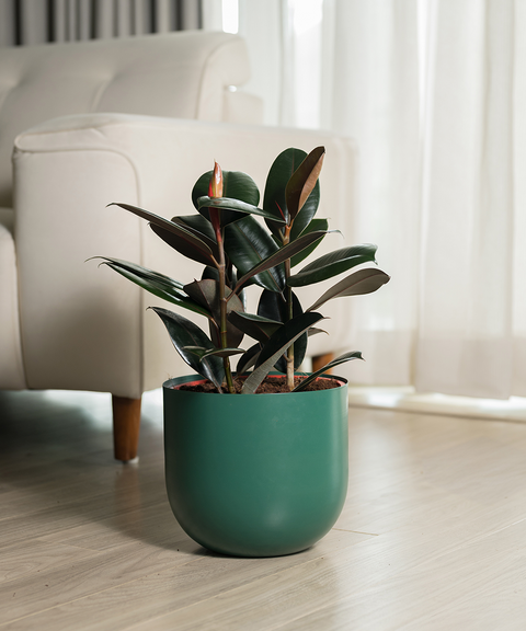 Black Rubber with Arbor Metal Planter