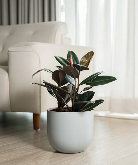 Black Rubber with Arbor Metal Planter