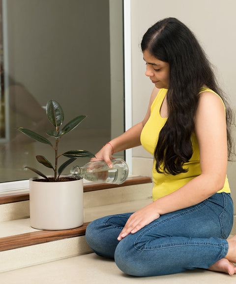 Black Rubber with Zen Metal Planter