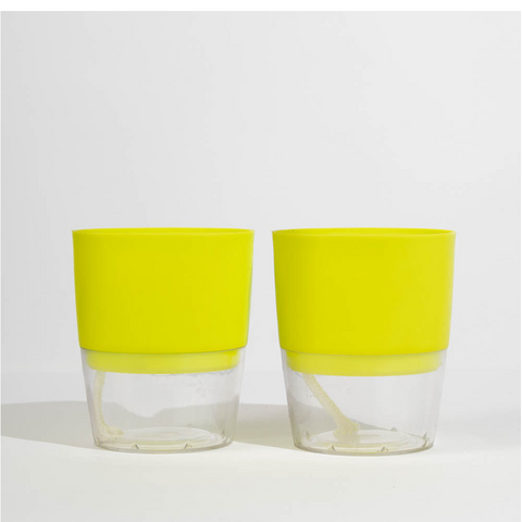 Kyari Poetic Pot Combo of 2 Green