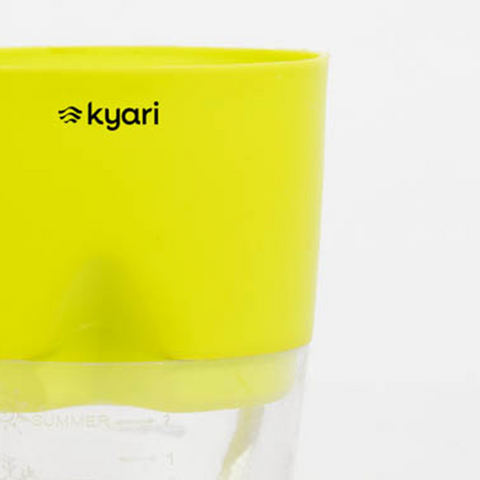 Kyari Poetic Pot Combo of 2 Green
