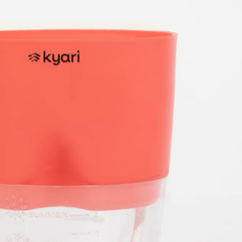 Kyari Poetic Pot Combo of 2 Red