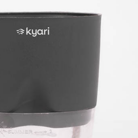 Kyari Poetic Pot Combo of 2 Grey