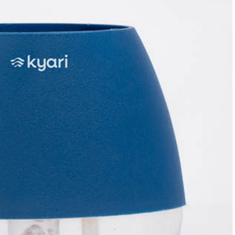 Kyari Nova Pot Combo of 2 Blue