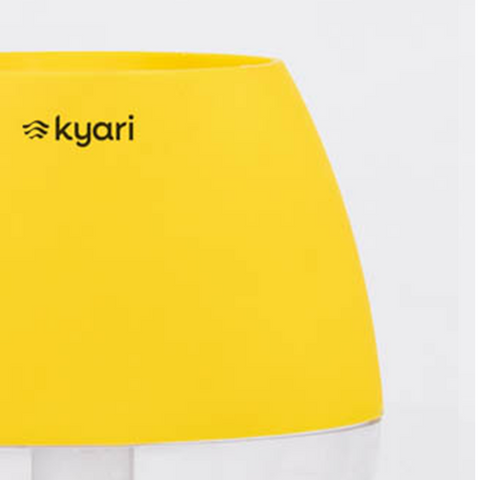 Kyari Nova Pot Combo of 2 Yellow