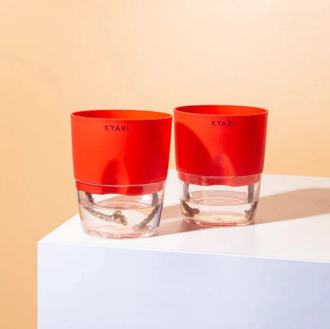 Kyari Poetic Pot Combo of 3 Red