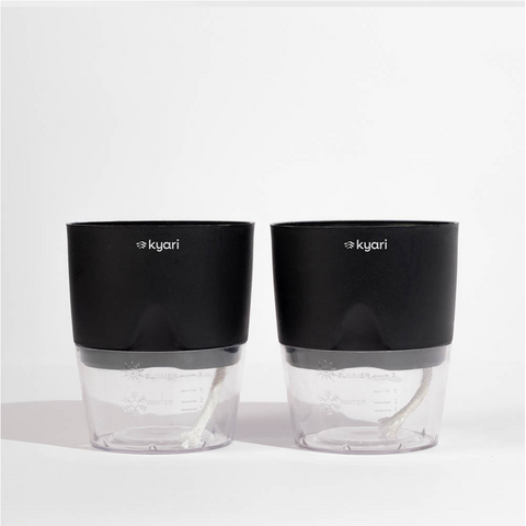 Kyari Poetic Pot Combo of 2 Black