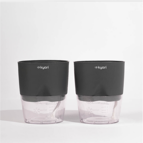 Kyari Poetic Pot Combo of 2 Grey