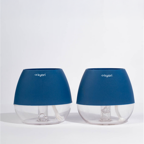 Kyari Nova Pot Combo of 2 Blue