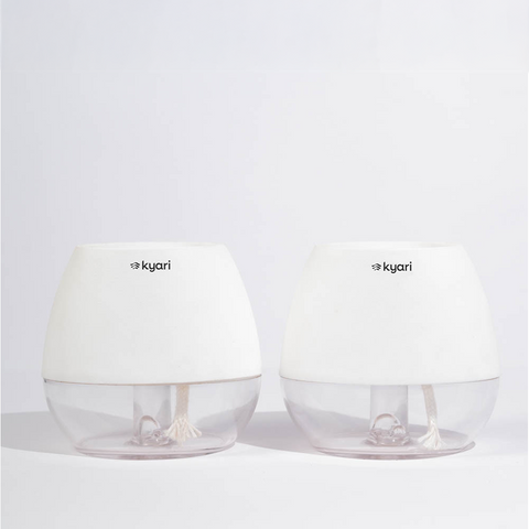Kyari Nova Pot Combo of 2 White