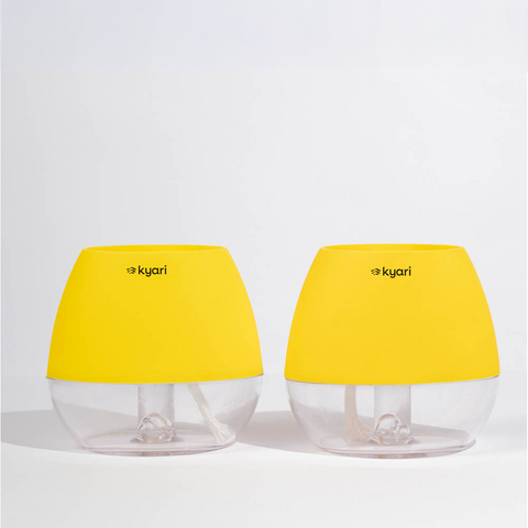 Kyari Nova Pot Combo of 2 Yellow