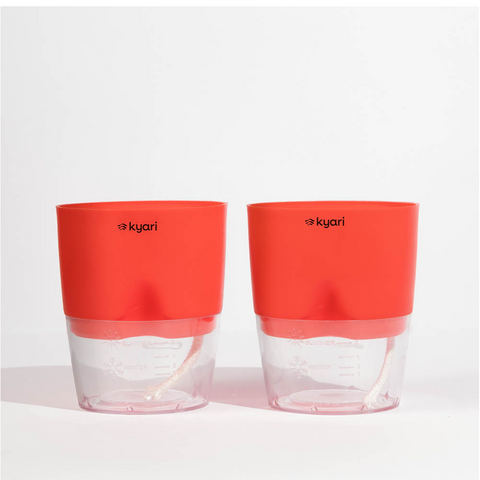 Kyari Poetic Pot Combo of 2 Red
