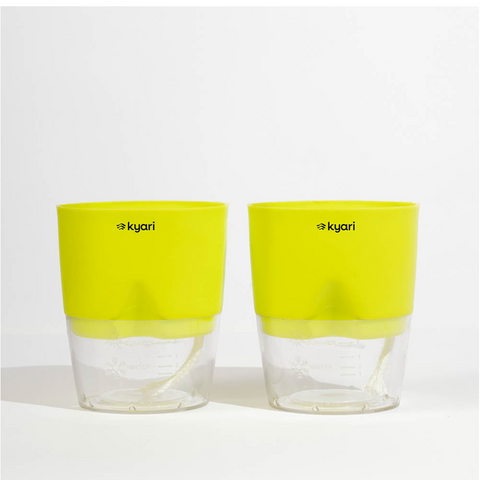 Kyari Poetic Pot Combo of 2 Green