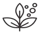 Healthy Plants