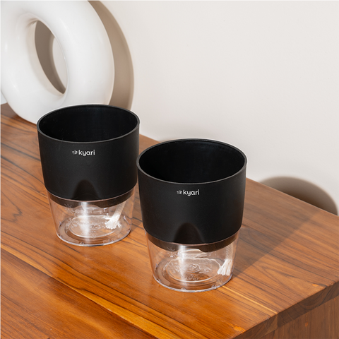 Kyari Poetic Pot Combo of 2 Black