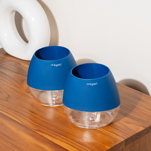 Kyari Nova Pot Combo of 2 Blue