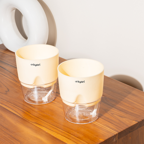 Kyari Poetic Pot Combo of 2 Cream