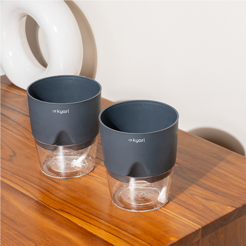 Kyari Poetic Pot Combo of 2 Grey