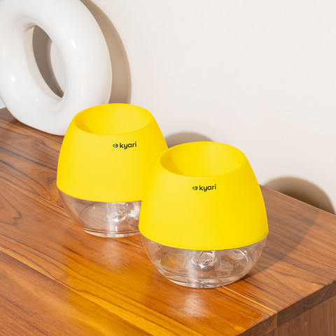 Kyari Nova Pot Combo of 2 Yellow
