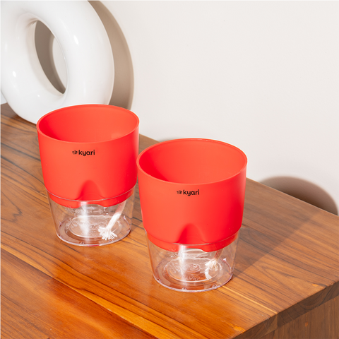 Kyari Poetic Pot Combo of 2 Red
